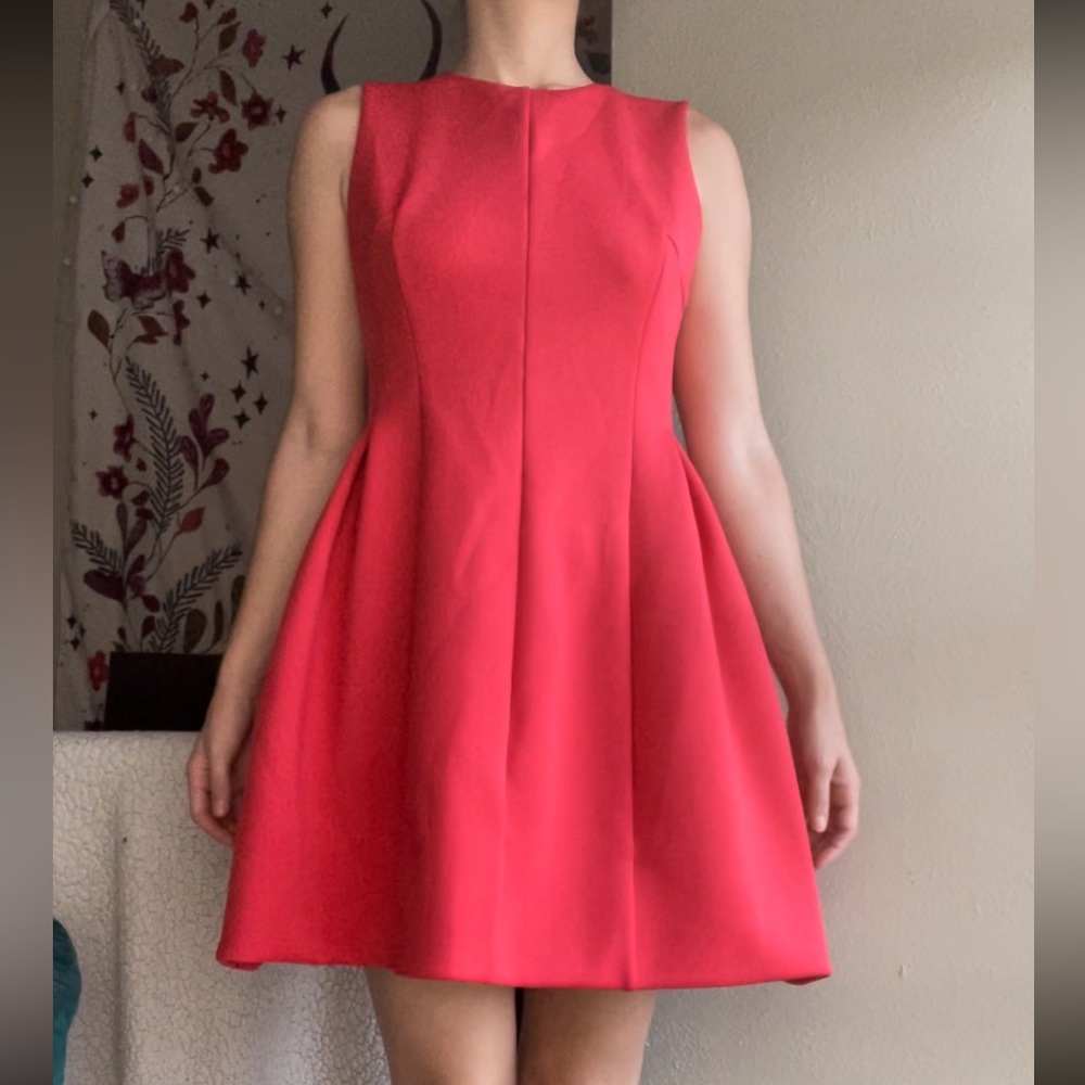 Sleeveless Red Calvin Klein Fit and Flare Dress